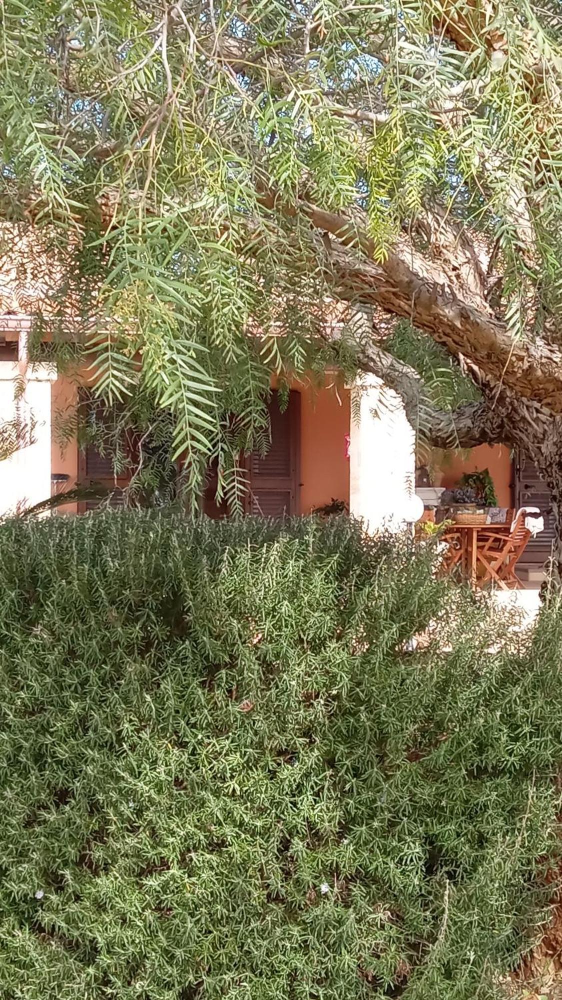 Bed and Breakfast Oniro Specchia Exteriér fotografie